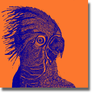 Hello Cocky - Orange and Blue Hello Cocky - Orange and Blue